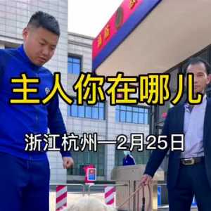 “主人，你在哪儿？”杭州消防站来了只小金毛，好吃好喝受招待