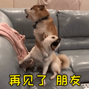 狗狗说：“我们是人类的好朋友”，这句话是发自内心的