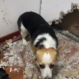 女子下班回家推开门，看了一眼客厅后，表示自己血压升高了