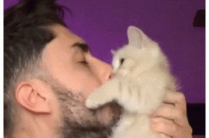 10道题目，测试你家猫咪能不能成为“心灵抚慰师”