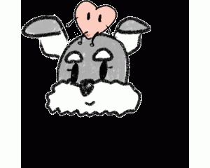 惯狗如杀狗！雪纳瑞犬有这5种行为，证明被“惯坏”了！