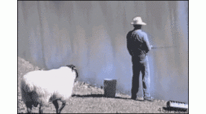 每日一笑，实在是太调皮啦​！