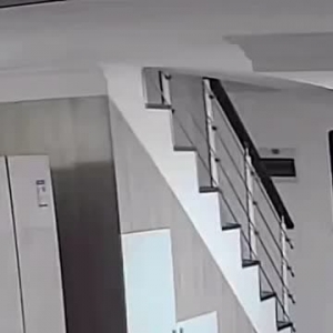 猫主人回应“猫妈妈扔下小猫”：以后准备给它做绝育手术