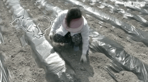 狗狗出车祸去世5天后，主人以为出现幻听，没想到…它真的回来了！