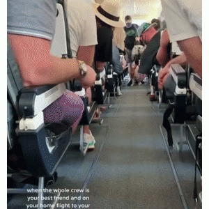 带狗子坐了趟飞机，结果狗秃了……哈哈哈哈哈这也太热情了！