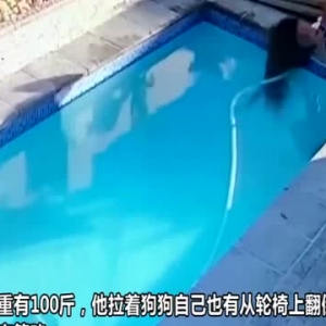 南非一残疾男子坐轮椅将100斤落水爱犬救出