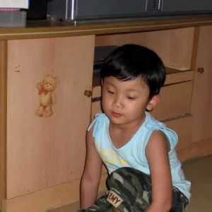 当陪伴你16年的狗狗离世后……