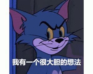 “养猫，我后悔了”