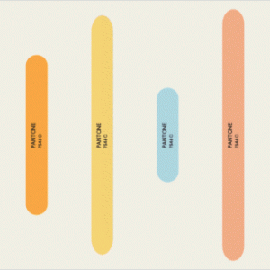 视觉｜猫咪 可爱柔色