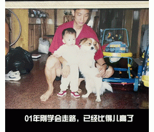 “陪伴了我16年的狗狗……”小主人对爱犬的回忆，看哭了无数铲屎官。