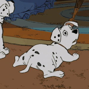 养狗的几大“好处”，谁养谁知道，养了不想换了！