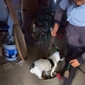 《TOP视频》偶尔放空是件很舒服的事