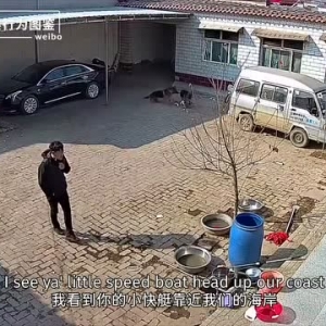 “汪汪队缺大德！这么坏心眼的狗子我还是第一次见！”