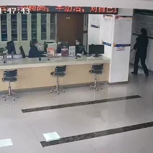 视频▏硬核找主人！拉布拉多犬走失后竟自己来派出所“报案”