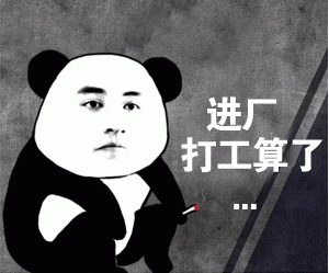 哥哥送的大饼好喜欢！