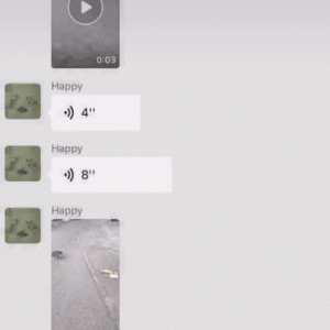 怀孕母猫遭遇车祸濒死，公猫用尽全力将它拖到安全地方，直到…