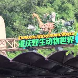 动物们的运动会，它们将有怎样的表现？