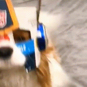 后视镜里的风景真的很美