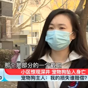 庭审纪实｜小区惊现深井 宠物狗坠入身亡