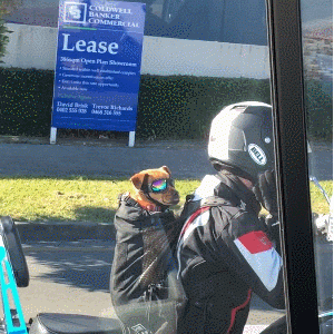 带狗狗出门兜风，还戴上了帅气的墨镜，镜头拉近一看忍不住大笑