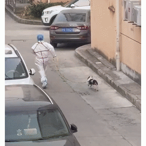 防疫人员帮忙遛狗，这一大一小狂奔的身影也太可爱了！