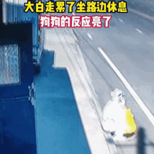 吉林延边，太聪明！医护人员走累了坐在路边休息，狗狗的反应亮了