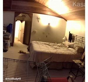 刚铺好的床铺总是很快就乱糟糟的，查了监控后惊呆了……