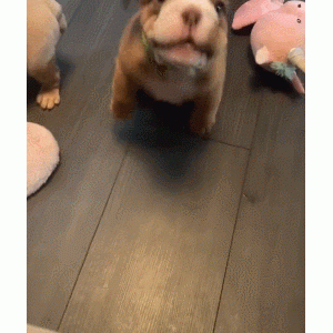 每日一笑，我看你是有点社交牛逼症在身上的