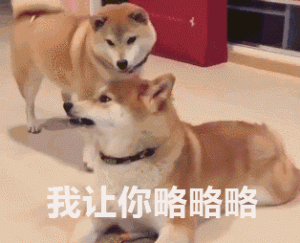 养这几种狗之前，要考虑清楚，因为会“越养越心累”！