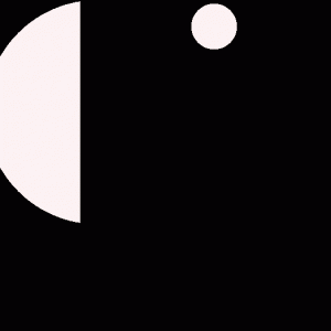 家里人不让你养宠物？没事！来这里“云养”，什么可可爱爱的动物都有！