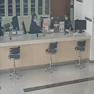 拉布拉多走丢后自己去警局，但直接冲向食堂，狂炫一顿后主人出现了…