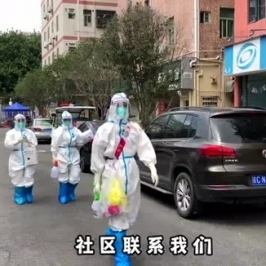 视频｜“大白”变身铲屎官，留守在家的小动物，被照顾得很好