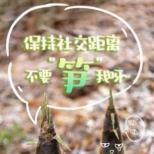 创意海报｜春天的“萌宠”说防疫