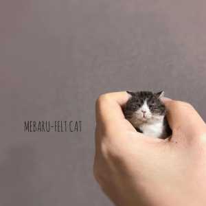 掌上有只萌小猫……