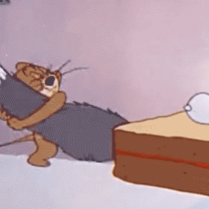 我家猫跟自己的尾巴大战三百回合，结果………一败涂地！