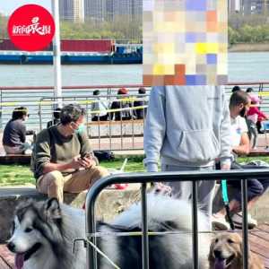 封控期间狗狗的“方便”问题怎解决？