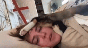 每日一笑，中了猫毒还有救吗？