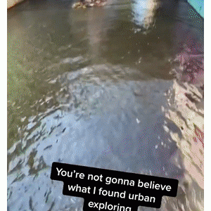 城市探险家晒自己探险生涯以来最甜蜜的宝藏……网友：太可爱了！