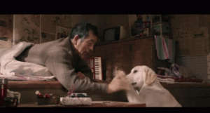 狗狗临终前，对主人做这些事，是它无声的“告别”