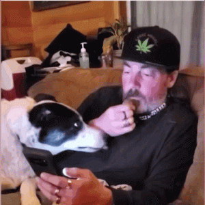 主人玩手机不理自己，狗子把手机打翻，“有我没它！”