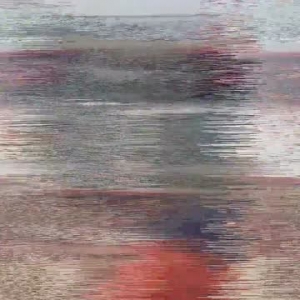 探访揭秘“搜救汪”系列故事（一）