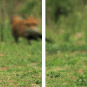 7D，让你不敢相信自己的眼睛