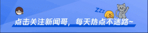 上海柯基被扑杀震惊铲屎官：宁可自己遭罪也不想看到它们受伤害