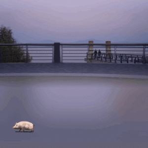 微信上线新功能！网友：太好玩了