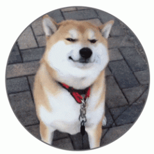 微信定位在冰岛的人，都开始在农场里养蟑螂了