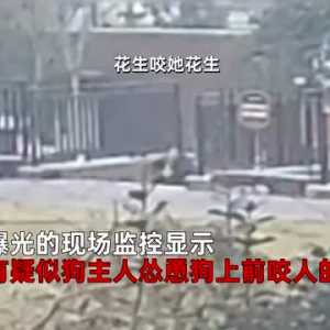 邢台一女子被大狗扑狂喊救命，狗主人竟然…