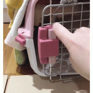 “救命，原来狗狗也有叛逆期啊！”