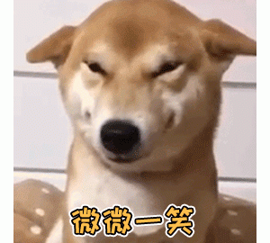 狗狗独自在家会做什么？直到主人从摄像机里看到