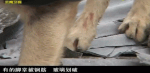 10分钟看哭5次！劳碌一生的英雄，晚年却无处可去