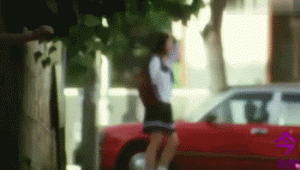 爱情动物行为学